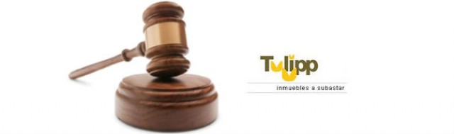 en las subastas de tulipp se vendían pisos con el precio inflado
