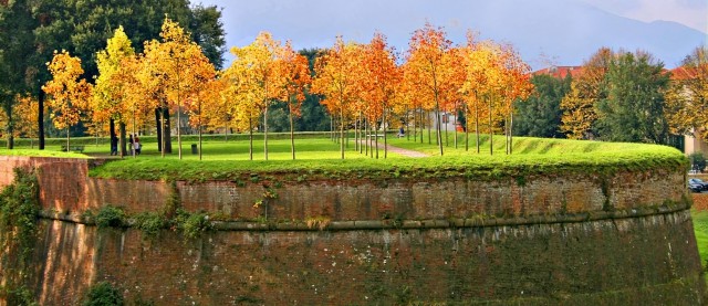 Murallas de Lucca