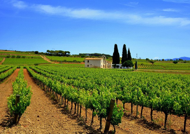 Ruta del vino Penedés https://www.flickr.com/photos/angela_llop/