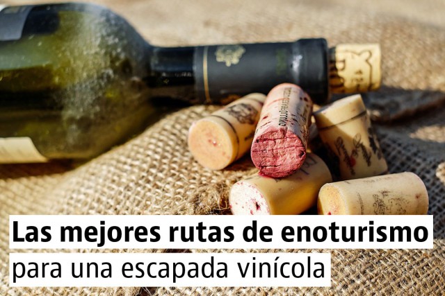5 rutas del vino para una escapada enoturística