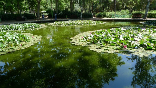 Lago del Turó Park de Barcelona / Ajuntament de Badalona