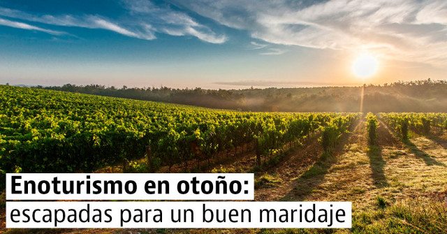 5 escapadas de enoturismo para disfrutar plenamente del otoño