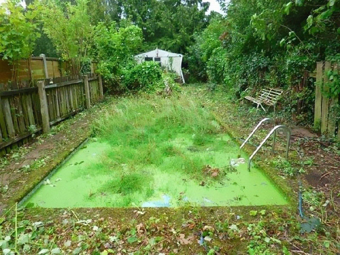 Pocas piscinas incluyen vegetación