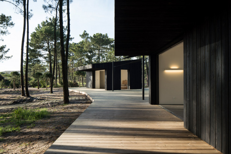Studio 3A|Nelson Garrido