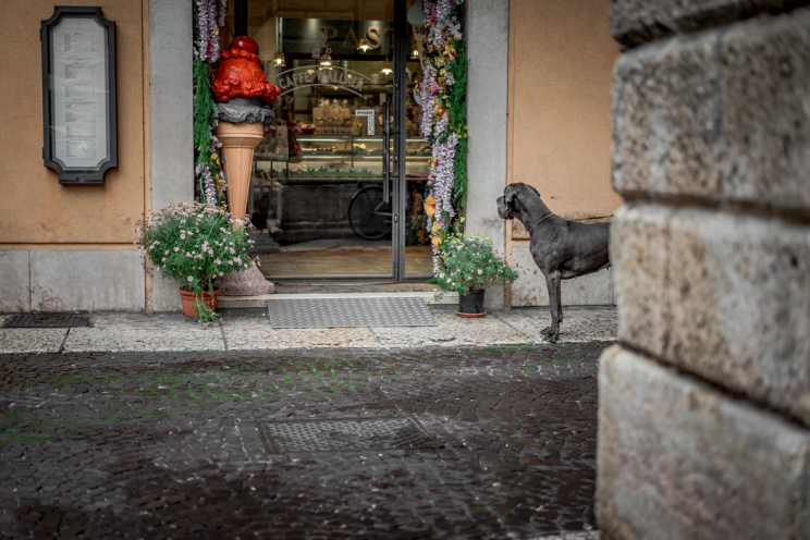 Fuente: Unsplash