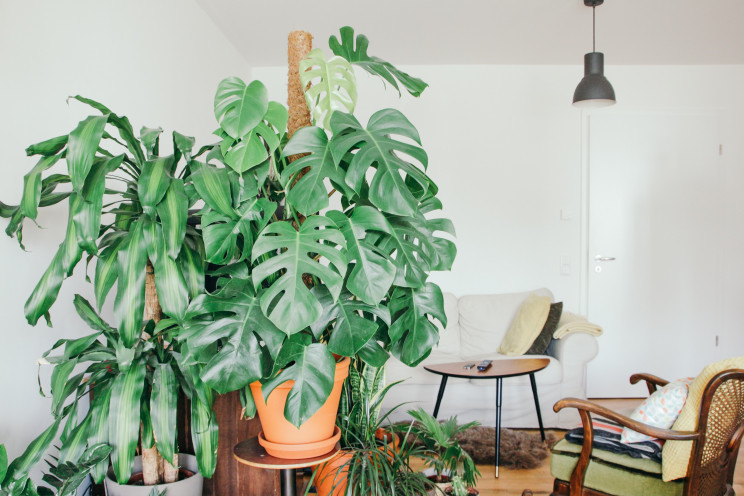 Photo by Brina Blum on Unsplash