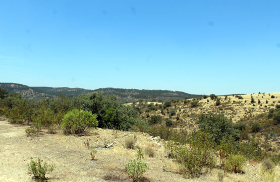 Aliseda Inmobiliaria