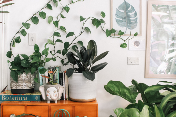 Photo by Prudence Earl on Unsplash