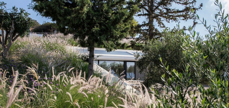 Designboom
