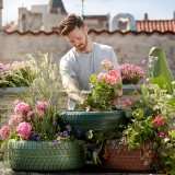 ¿Sabías que hay flores que florecen todo el año?
