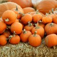 Do Spain celebrate Halloween?