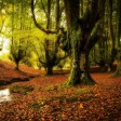 pueblos en otoño en el pais vasco
