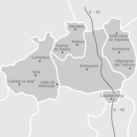 Mapa interactivo de zonas de interés para seleccionar la región donde quieres buscar
